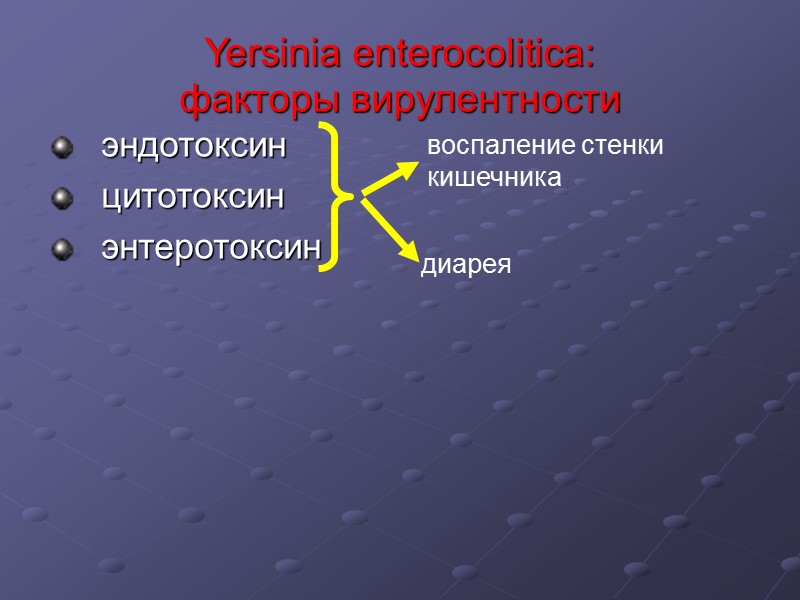 Yersinia enterocolitica:  факторы вирулентности эндотоксин цитотоксин энтеротоксин воспаление стенки кишечника диарея